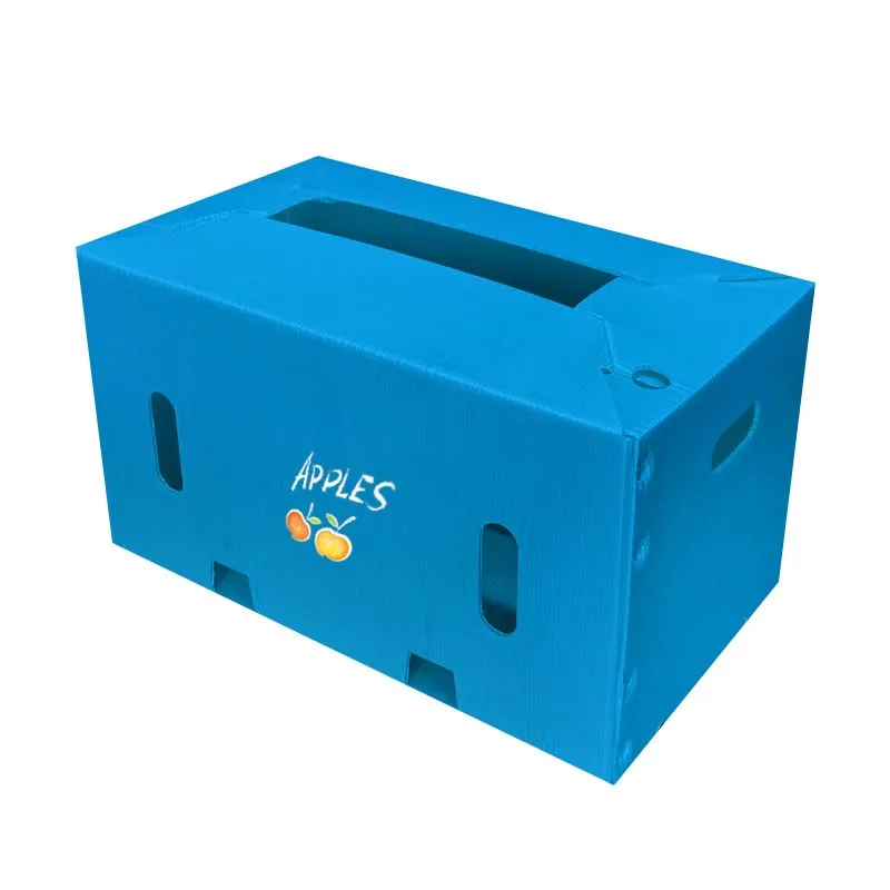 Pp Sheet Box suppliers